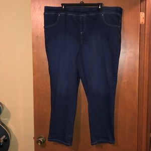 Terra & Sky Straight Leg Jeans